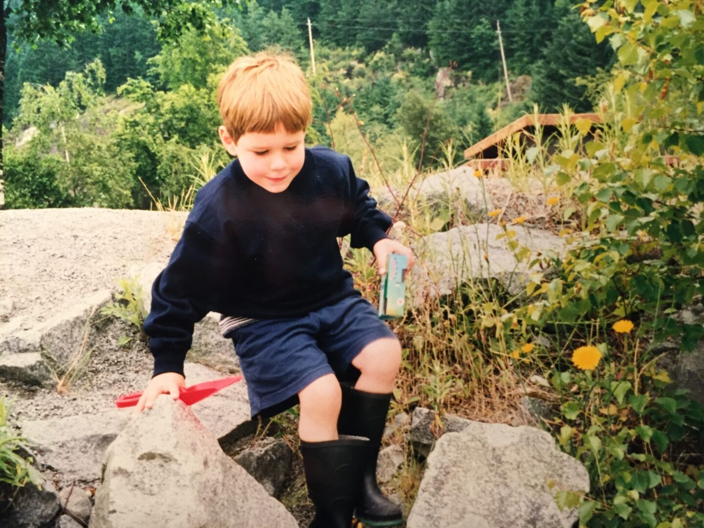 IMAGE7 IMAGE7